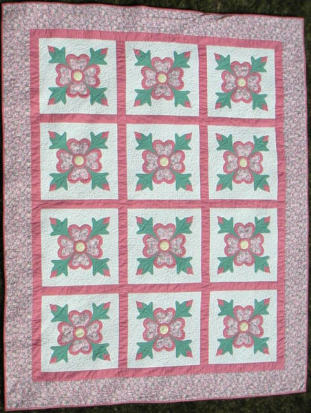 Ohio Rose