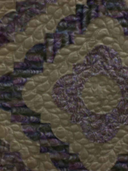 Free-motion quilting detail